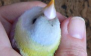 3202