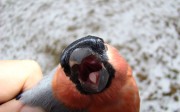 1759