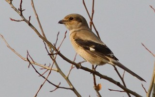 Прибайкалье