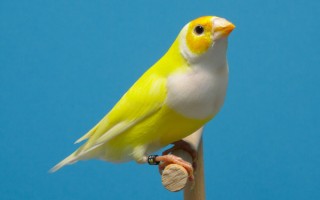 3158