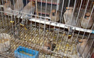 612