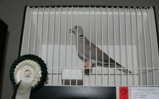 353